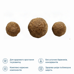 Сухий корм для кошенят зі смаком птиці