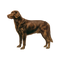 Для яких собак підходить Happy Dog? icon